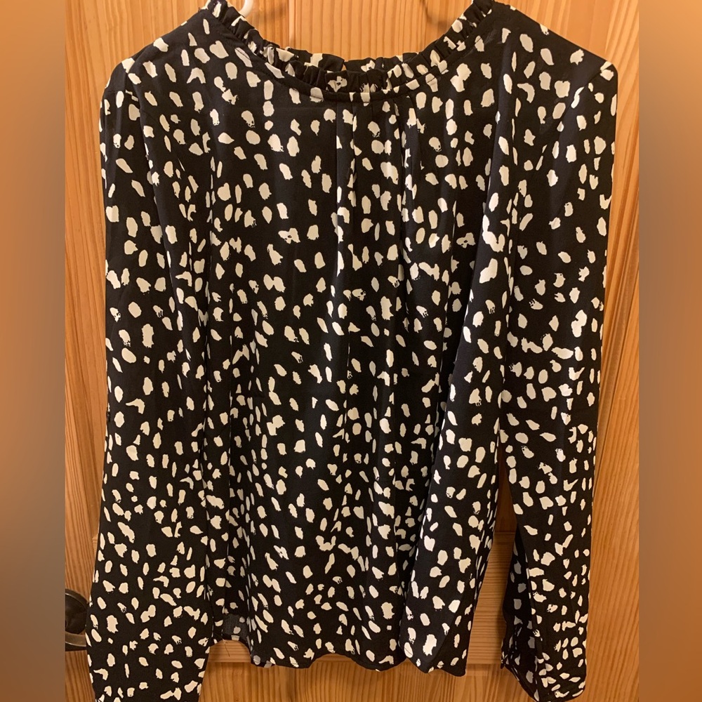 White Birch Blouse